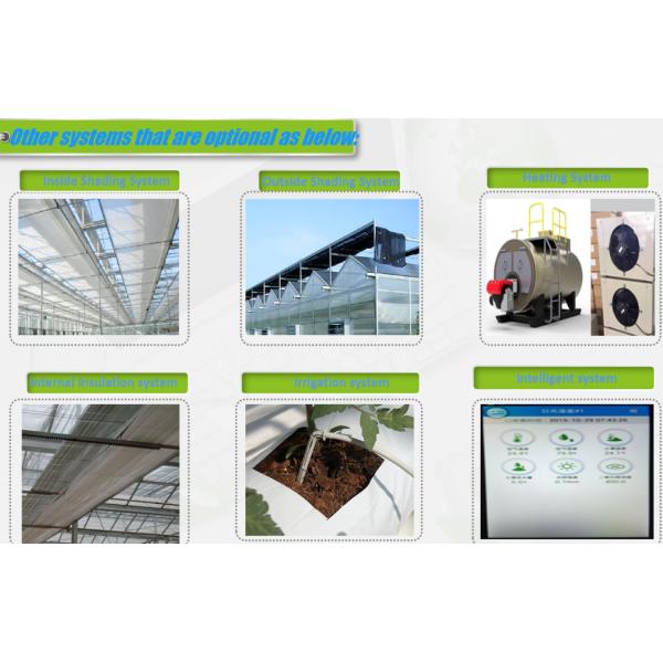 Polycarbonate Greenhouse for Cabbage Planting Durable