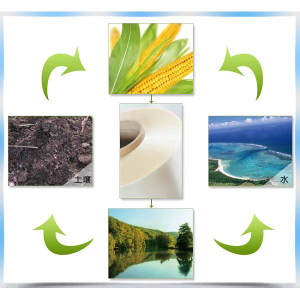 Healthy And Eco - Friendly PLA Film Polylactic Acid Food Packaging Roll