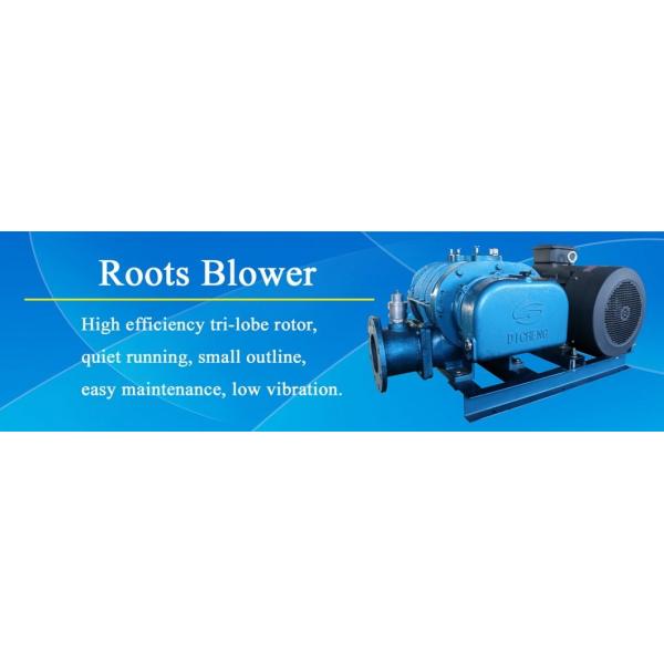 DSR50 Air Rotary Blower Aeration blower 9.8-58.8KPA 0.78 - 2.48 M3/Min