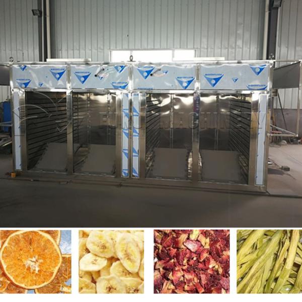Professional Industrial Food Dehydrator Commercial Dehydrator For Beef Jerky