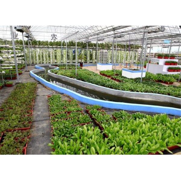 Modern Agricultural Production Hydroponic Greenhouse 150 / 200mic Greenhouse Covering