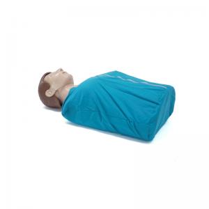 China Cpr Training Manikins With Feedback Ccpr Practice Dummy Simple Half Body on sale