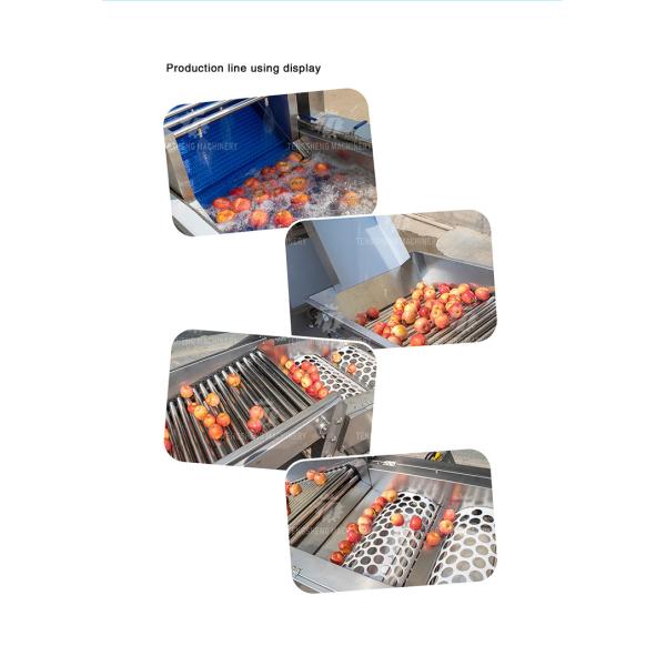 Multifunction Fruit And Vegetable Processing Line Automatic Washing And Sorting Machine
