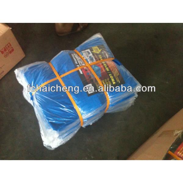 clear poly tarp polyethylene tarpaulin used for green house