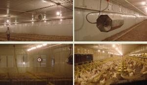 Cooling pad for poultry equipment - Detailed info for Cooling pad for house