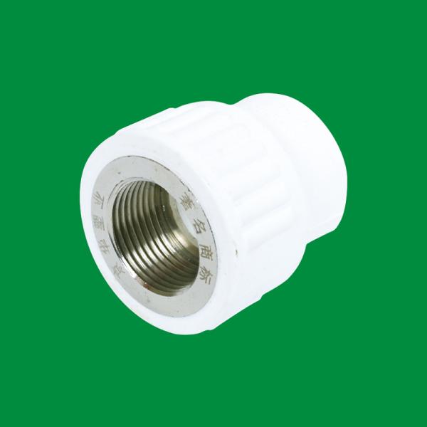 Factory Customizable Designed PPR Outside Wire Coupling Fittings Support Customized
