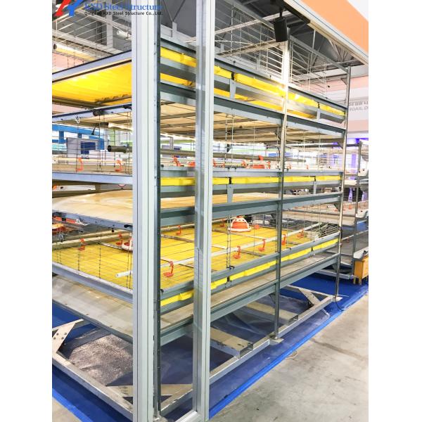 Steel Structure Poultry Shed for Broilers and Layers