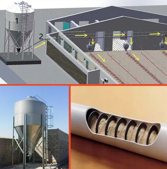 Economical Prefabricated Steel Structure Broiler Equipment with Automatic Feeding System and Corrosion Resistant Design
