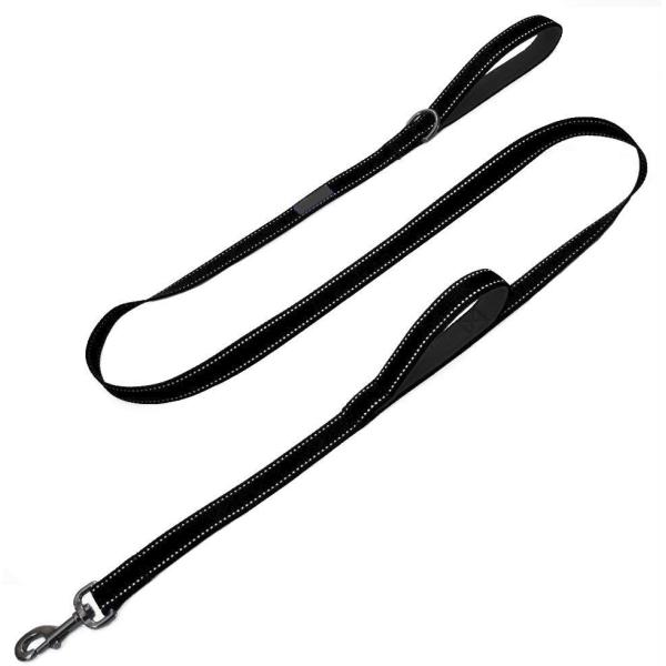 Double Handle Reflective Nylon Dog Leash