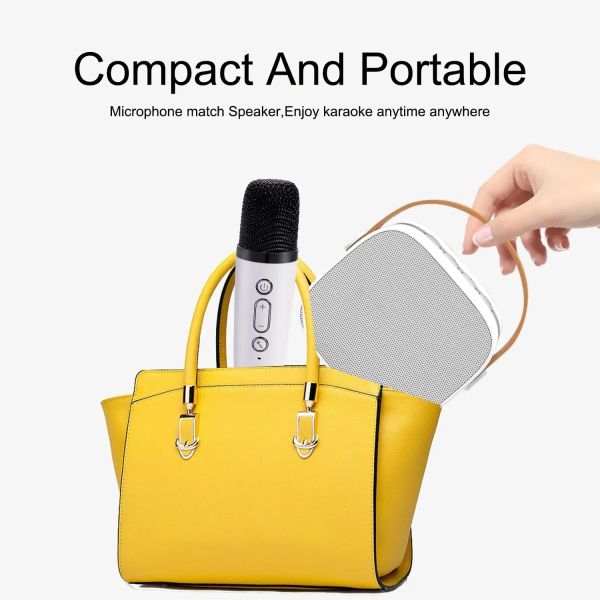 Mini Portable Bluetooth Speaker With Mic Audio Home Family Singing Karaoke Wireless Speaker