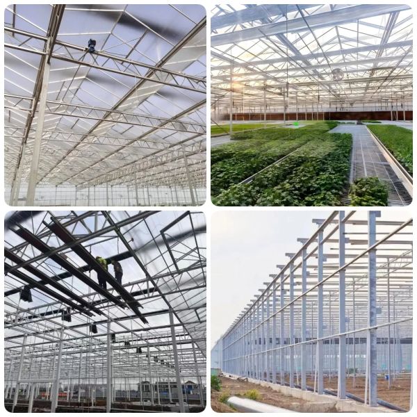 Customizable Dimensions Corrosion Resistant Hurricane Proof Modular Steel Greenhouse Prefabricated Steel Structure