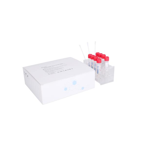 3mL Transport Medium Disposable Virus Sampling Kit Nasal Swab Collection Kit ISO9001