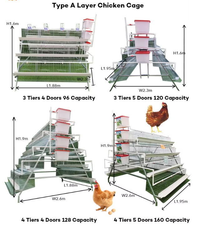 Hot-Dip Galvanized Laying Hen Cage with Automatic Feeding System and Low Maintenance for Poultry Farming