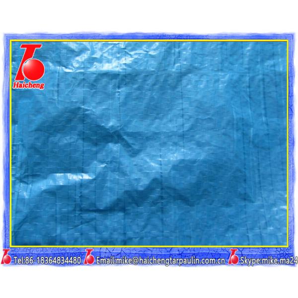 Solid poly tarps,marine canvas waterproof,pp pe woven landscape fabric