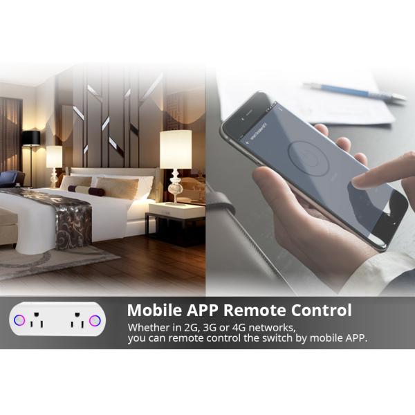 wifi smart plug with dual US sockets