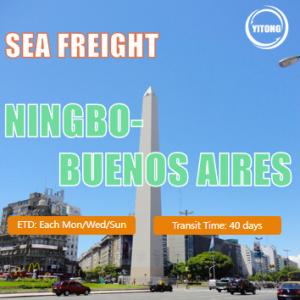 Buy cheap DDP DDU International Sea Freight Logistics From Ningbo To Buenos Aires Argentina product