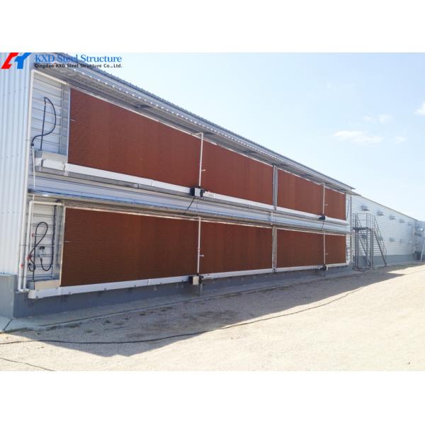 Double Light Steel Structure Chicken House With Fully Automatic Equipment