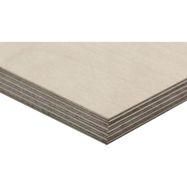 Plywood modern melamine paper interior Birch first-class E0