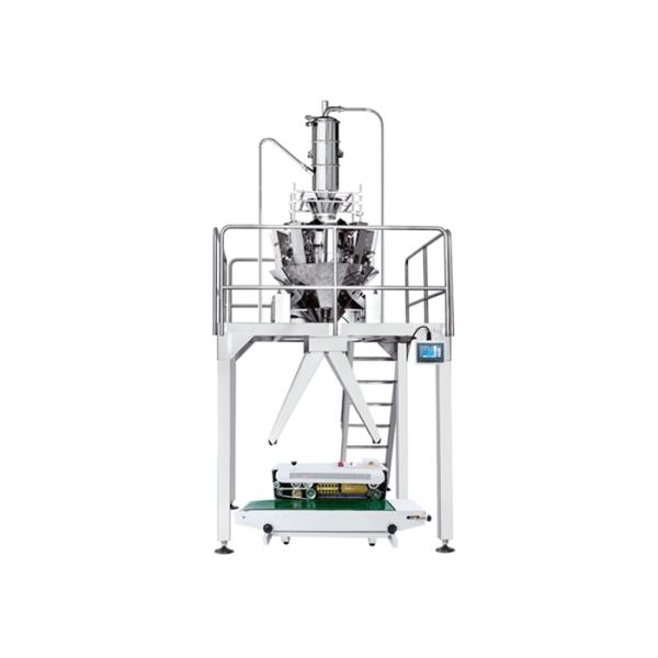 MultiHead Vacuum Conveyor Semi Automatic Packaging Machine