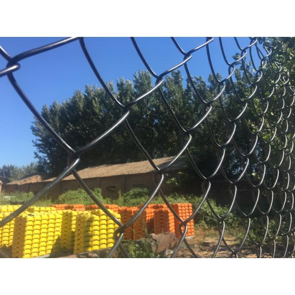 chain link fence with cheap price/diamond wire mesh