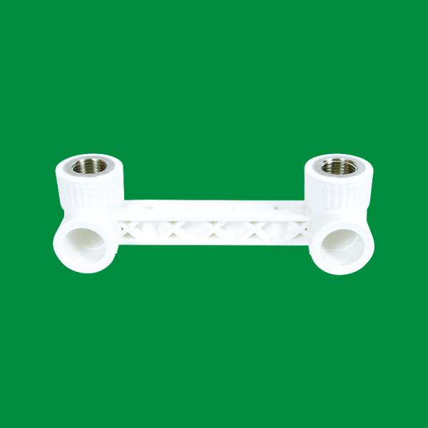 Factory Customizable Designed PPR Outside Wire Coupling Fittings Support Customized