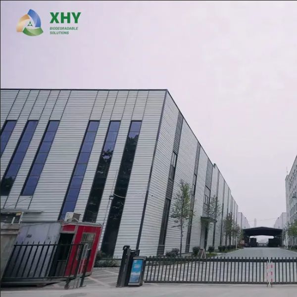 Food grade Single PE Coated paper cup fans for paper cup raw material