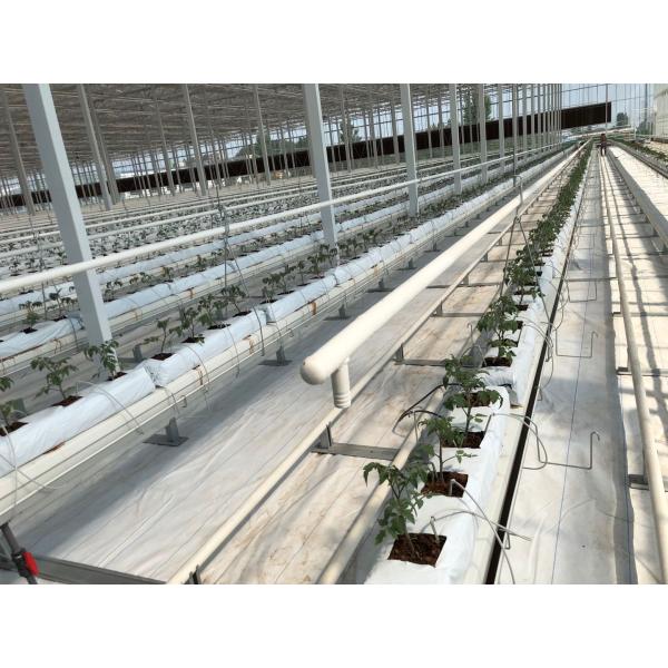 Durable Large Size Commercial Hydroponic Greenhouse With Soilless Cultivation