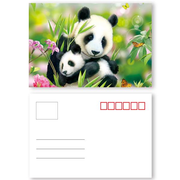 Custom 3d Lenticular Postcards Printing Basketball Players Image