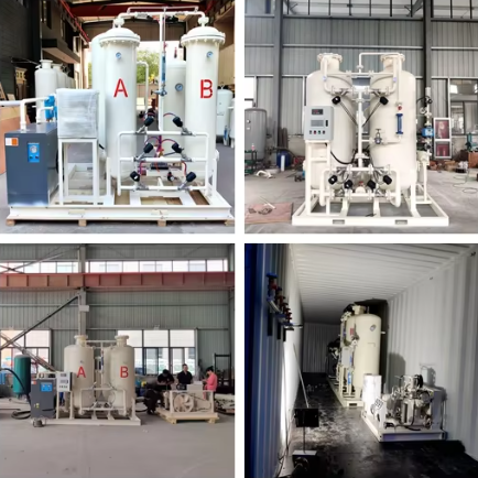 Industrial PSA Oxygen Generator for Fish Farming Heavy Duty Oxygen Generator