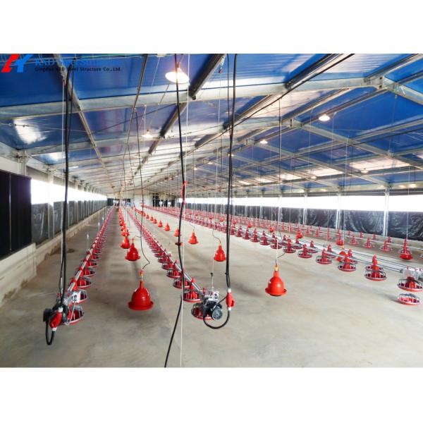 Feed Pan System for Broilers Steel Poultry House Automatic Livestock Equipment