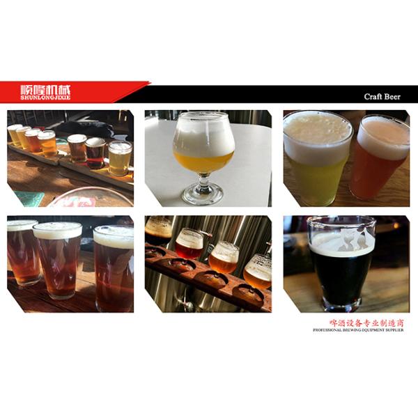 CIP System CE Passed Beer Brewing Equipment For Brewpub And Restaurant
