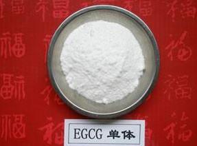 China 100% Natural Green Tea Extract Polyphenols and EGCG 98% powder on sale
