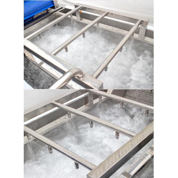 Enhance Your Production with Our State-of-the-Art Fruit And Vegetable Processing Line fruit and vegetable processing machinery