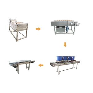 Farm Vegetable Processing Leafy Vegetables Processing Machine
