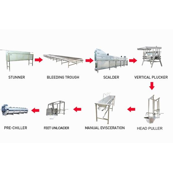 300-12000 Birds/H Chicken Slaughtering Line , CE Chicken Farm Machinery