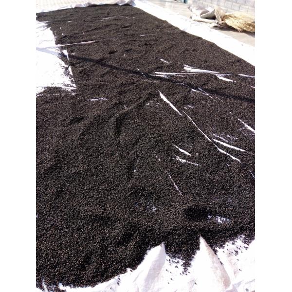 2017 New Amorberry Wild goji bery/ wild wolfberry /Qinghai Black goji