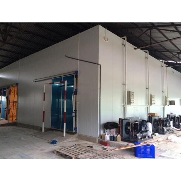 High Efficiency Cold Storage Warehouse With Refrigeration Unit For Fruit