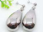 Sliver Stainless Steel Fashion Dangle Earrings 1320225