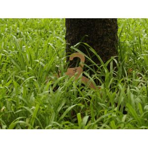 Dongguan Runhee paper products Co.,Ltd