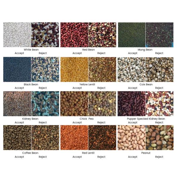 Cashew Nut Belt Color Sorting Machine Efficient And Stable Software System