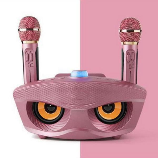 30W Family Karaoke Multifunctional Wireless Speak With Mic Recorder