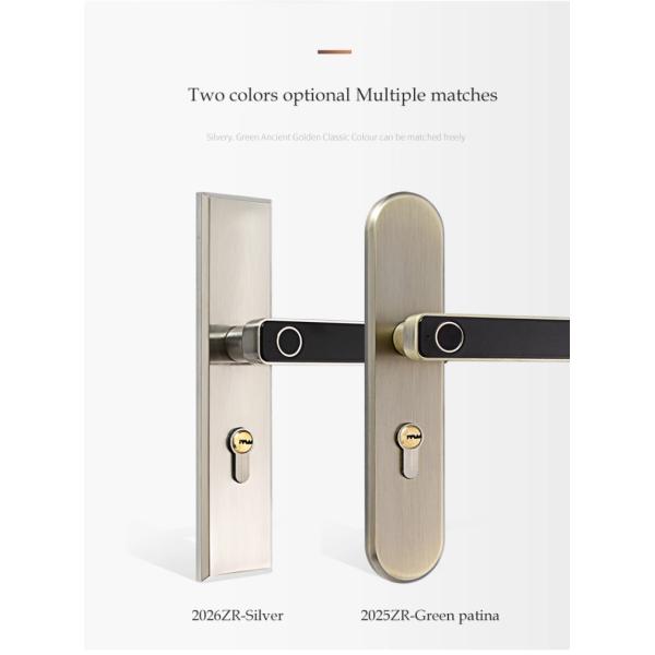 Fingerprint Handle Keyless Cabinet Lock , Keyless Home Door Lock For Wooden Door