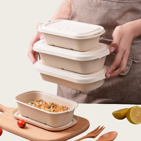 Restaurante 600ml Pulp Food Container Compostable Takeaway Box For Food Packaging
