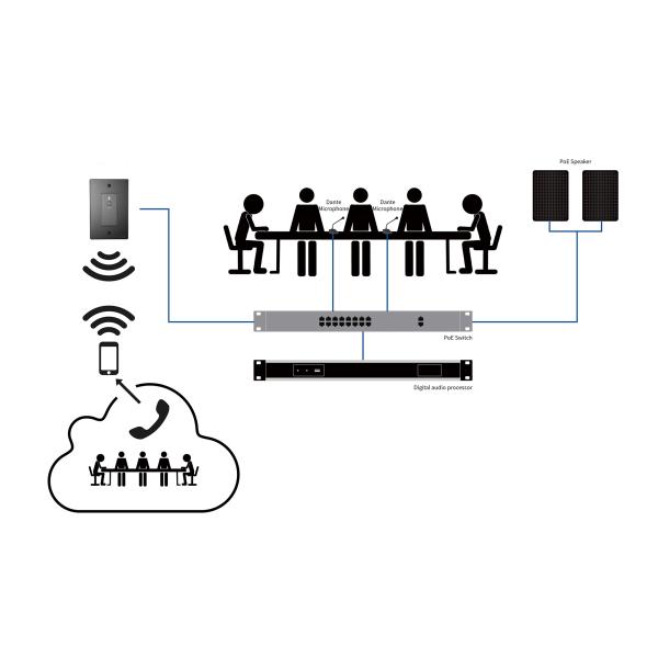 2CH Bluetooth Dante Wall Plate PoE Power Supply RJ45 Interface