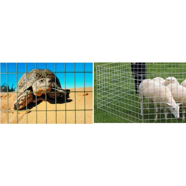 50×50×2.5mm Metal Cage Powder Coated Wire Mesh Panels 2.2m Galvanized Steel