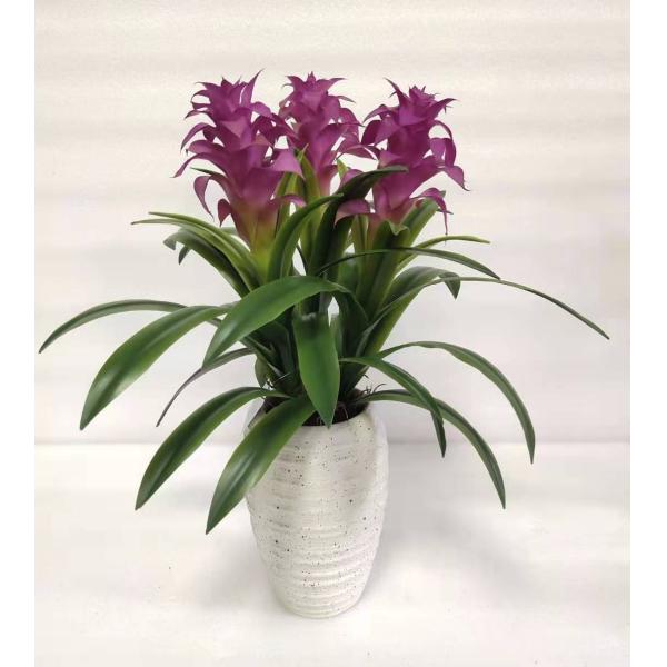 Multicolour Guzmania Flexible Glue Artificial Bonsai Tree 44 CM 56 CM