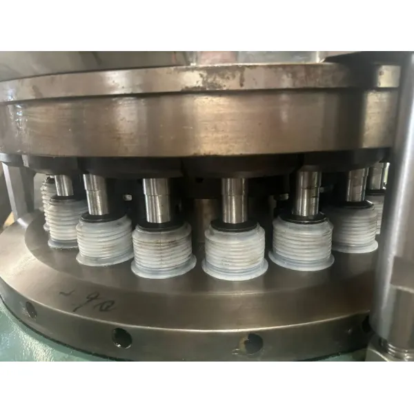 Large Size Punches and Dies for Washing Dish Tablets