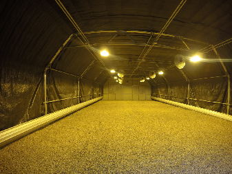Electrical Control Mushroom Growing Greenhouse With Hot Galvanizing Pipe Structure