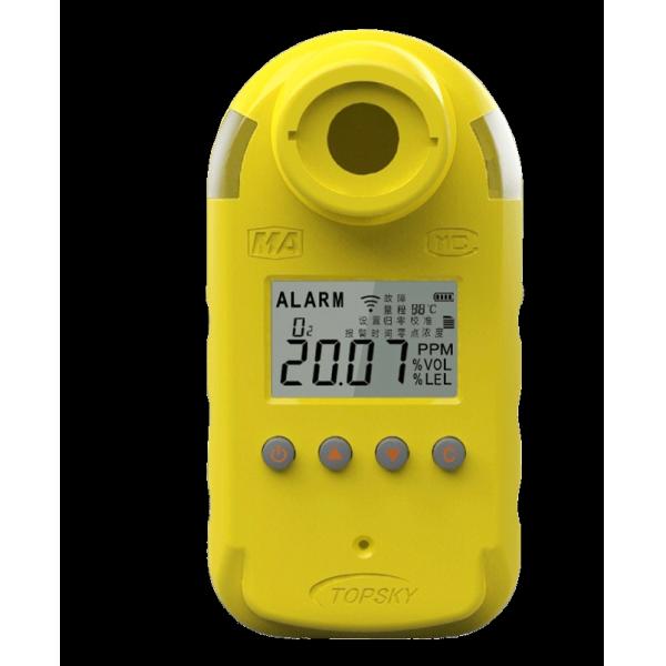 CO&H2S multigas detector CTL1000/100