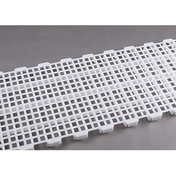 Goat Farm Plastic Slatted Floor Broiler House White / Customized